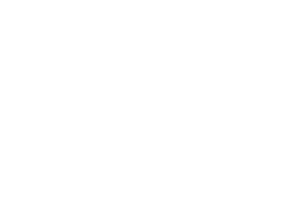 April International, a specialist provider from France
