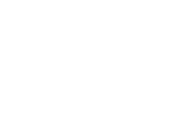 COVRD.EE, a custom product for professional digital nomads with a business in Europe