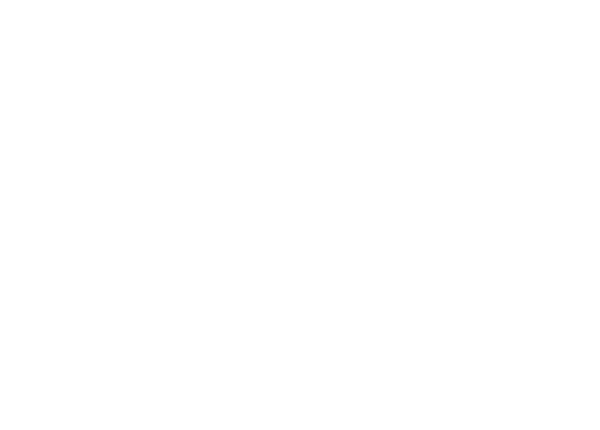 Dr. Walter