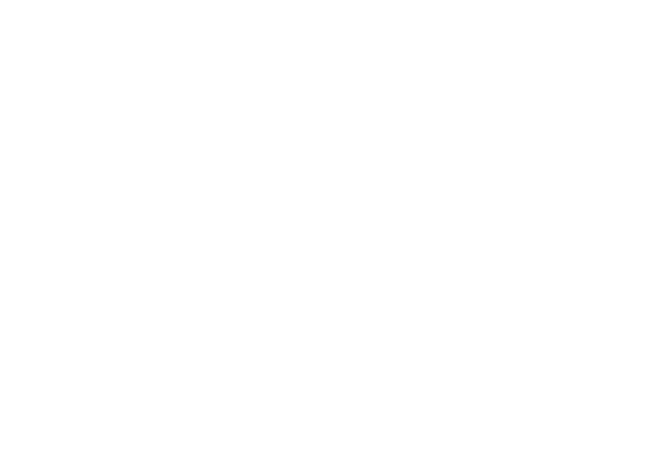 HanseMerkur, the 2nd biggest travel insurance company of Germany