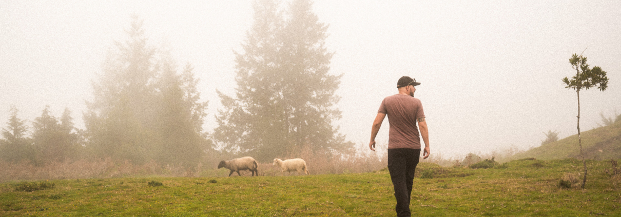 Christoph and two sheep in the fog of Madeira island