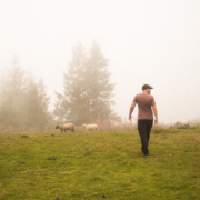 Christoph and two sheep in the fog of Madeira island