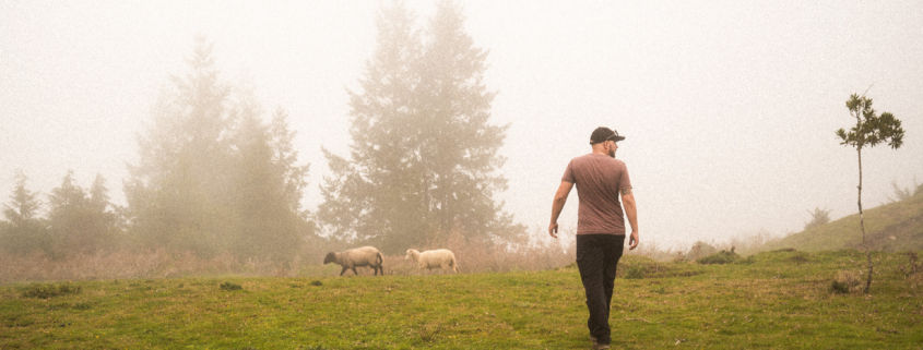 Christoph and two sheep in the fog of Madeira island