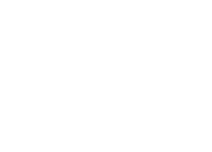 Logo April International white