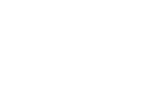 Logo PassportCard white