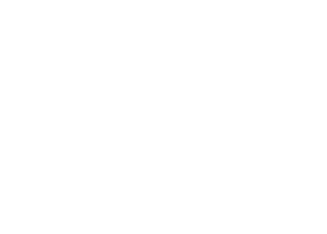 Logo Genki white